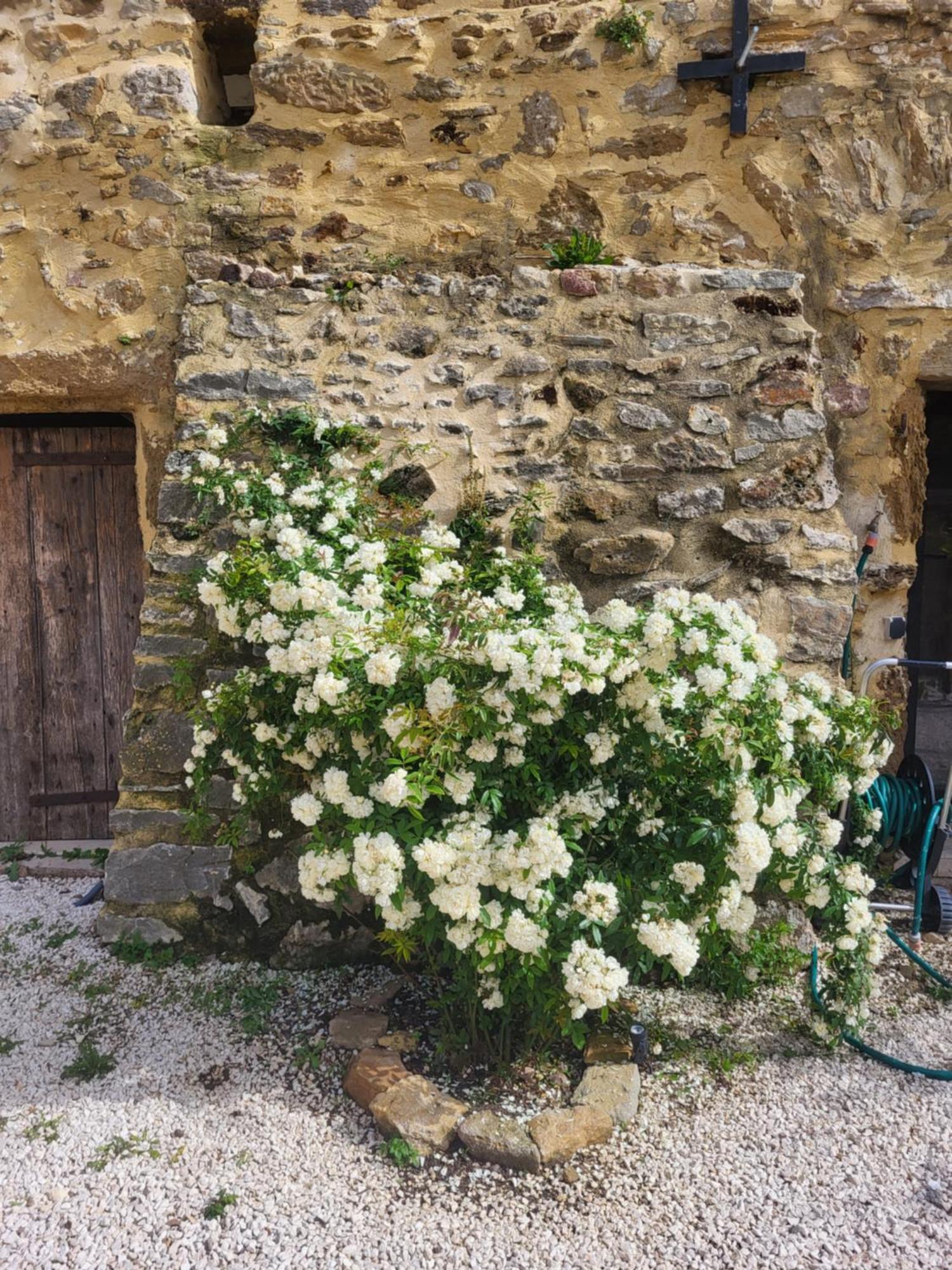 Bed and Breakfast Bastide De La Madeleine Pougnadoresse Esterno foto